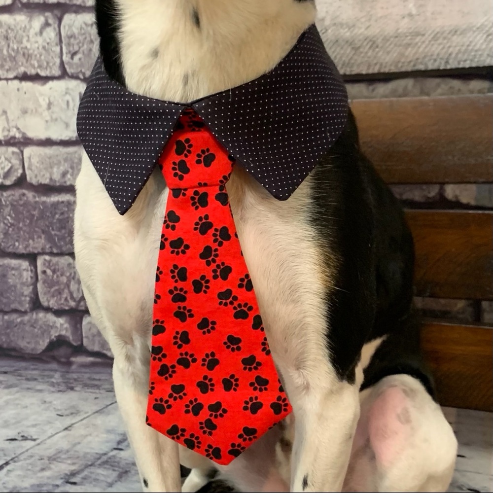 🎉🎉Host Pic🎉🎉Dog Ties For Sale! - Picture 2 of 10